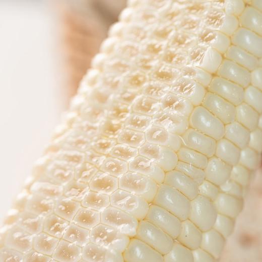 福建漳州  牛奶水果玉米 商品图3