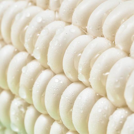 福建漳州  牛奶水果玉米 商品图4