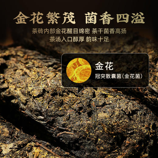 茶马世家安化黑茶官方旗舰店正品湖南茯茶手筑金花茯砖480g 商品图3
