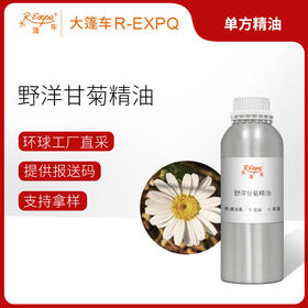 野洋甘菊精油摩洛哥精油原料批发芳疗护理香氛调香香薰大篷车精油