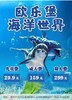 泉城欧乐堡海洋极地世界 商品缩略图0