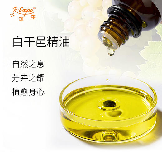 白干邑精油 奥地利单方精油原料批发 芳疗护理香水调香大篷车精油 商品图1