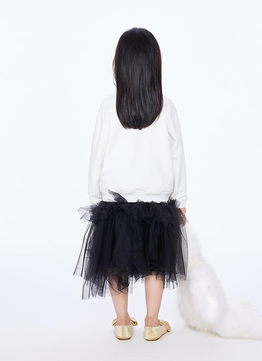 jnby  25年秋款   套头卫衣  1P8410590 商品图5