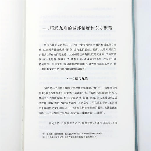 唐代九姓胡与突厥文化(中华当代学术著作辑要) 商品图7