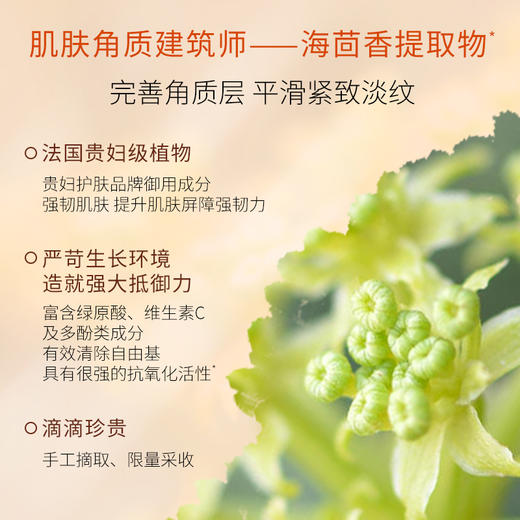 京城之霜菁萃抗皱精华油30ml 商品图1