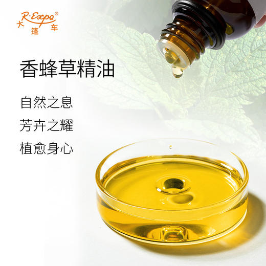 香蜂草精油 希腊进口单方精油原料批发 芳疗香氛调香香薰 大篷车精油 商品图1
