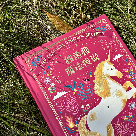 独角兽魔法三部曲：独角兽魔法传说+独角兽魔法对决+独角兽魔法全书（典藏版魔法绘本，当代版《爱丽丝梦游仙境》） 商品图6