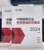 中国国有企业整合重组研究报告（2024升级版） 商品缩略图1