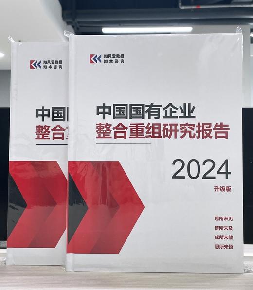中国国有企业整合重组研究报告（2024升级版） 商品图1