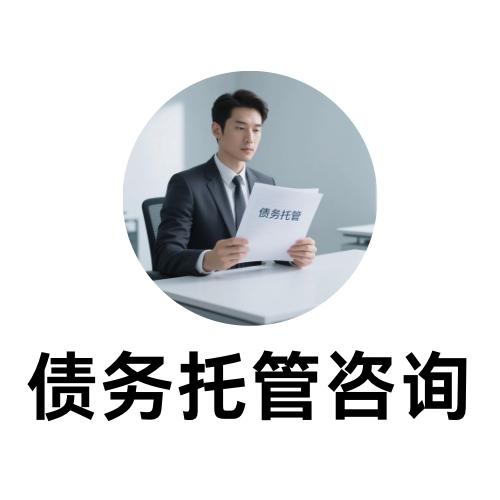 债务托管咨询 商品图0