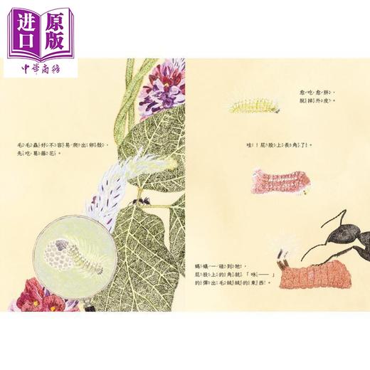 【中商原版】毛毛虫变身了 日本学校图书馆协会年度绘本50选书 首刷限量赠品 昆虫观察日志 全彩折叠海报 港台原版 儿童绘本 商品图1