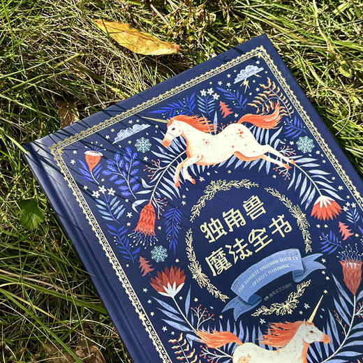 独角兽魔法三部曲：独角兽魔法传说+独角兽魔法对决+独角兽魔法全书（典藏版魔法绘本，当代版《爱丽丝梦游仙境》） 商品图5