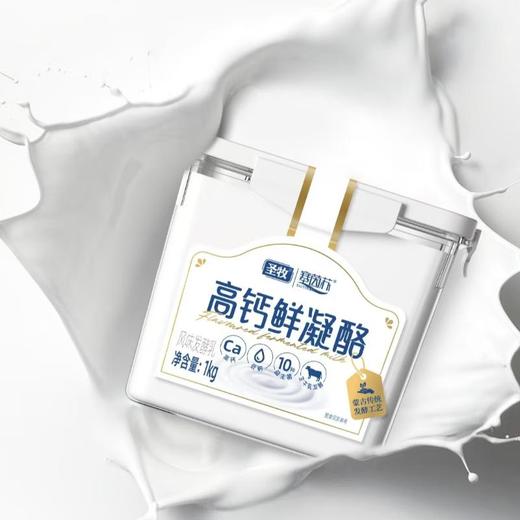 圣牧 高钙鲜凝酪 1kg/罐 商品图0