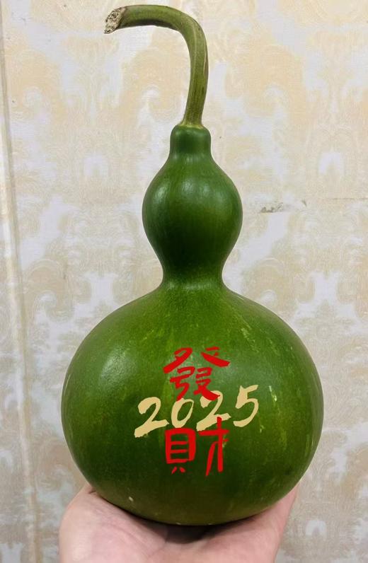 同城甄选精品花材葫芦1支 商品图0