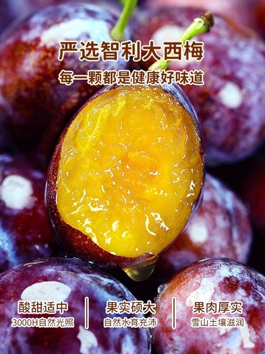 神兽果果-整个西莓（果干）西梅干去无核健康营养宝宝孕妇零食 商品图1