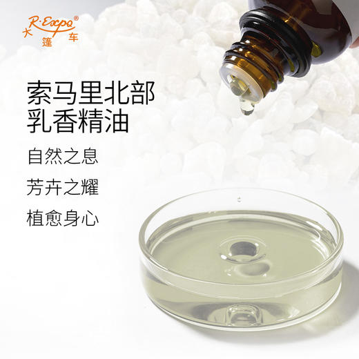 索马里(北部)乳香精油/波叶乳香精油索马里进口单方精油原料批发芳疗护理 商品图1