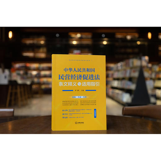 中华人民共和国民营经济促进法条文释义与适用指引 单飞跃主编 法律出版社 商品图0