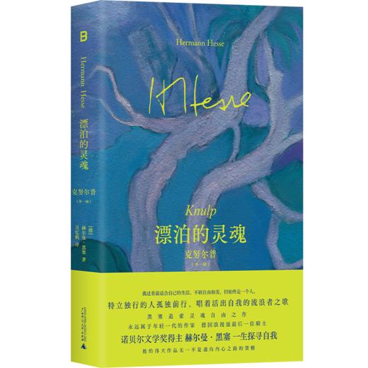 漂泊的灵魂 克努尔普(外一种) 商品图4