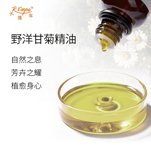 野洋甘菊精油摩洛哥精油原料批发芳疗护理香氛调香香薰大篷车精油 商品图1