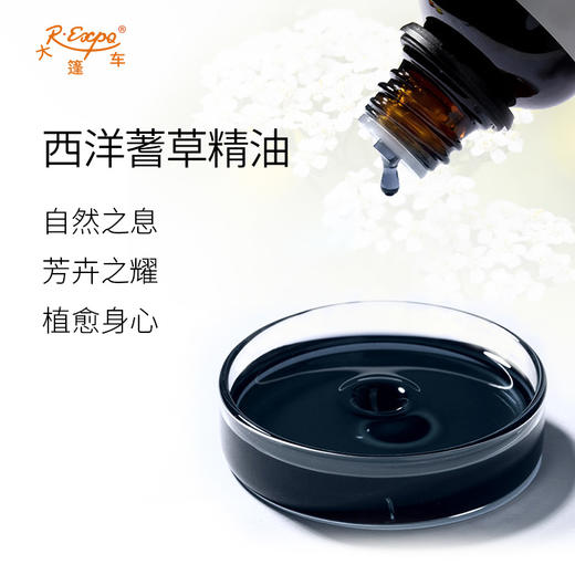 西洋蓍草精油(深蓝色) 奥地利精油原料批发芳疗调香大篷车精油 商品图1