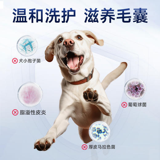 澳龙喜呗澳龙药浴洗液宠物狗黑下巴皮肤病狗癣真菌香波沐浴露 商品图5