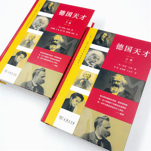 德国天才:近现代德意志的思想、科技和文化(上下册)〔英〕彼得·沃森 著 张弢 等译 商务印书馆 商品图6