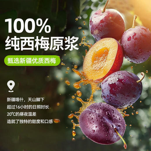 【超值90袋】宁之春黑红枸杞原浆/西梅原浆 鲜果鲜榨 早C晚A 鲜果鲜榨 天然原浆 30ml/袋 商品图11