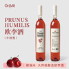 欧瑞米·大师级酿造欧李半甜型果酒375ml*2只 商品缩略图2