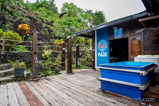 【度假村】印尼马拉图 Noah Maratua Resort 潜水度假套餐 商品图2