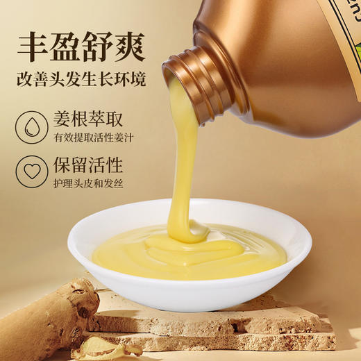 萃植精生姜洗发水 去屑蓬松草本洗头膏老姜王洗发露 护发生姜洗发水 商品图2