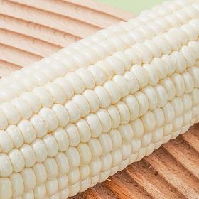 福建漳州  牛奶水果玉米