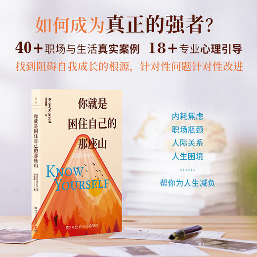 你就是困住自己的那座山 从自我怀疑到掌控人生成功励志 商品图1