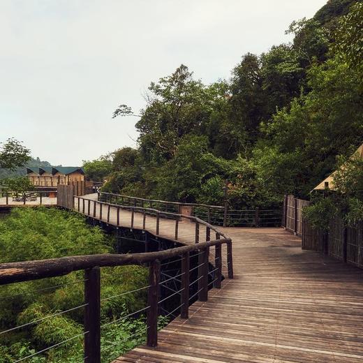 3天2晚【康藤·高黎贡帐篷营地】暑期专属！感受树梢上的自然野奢栖居地，含入住期间三餐美食、营地下午茶、高黎贡山徒步、手作体验等，邀你赴一场大自然之约！ 商品图7