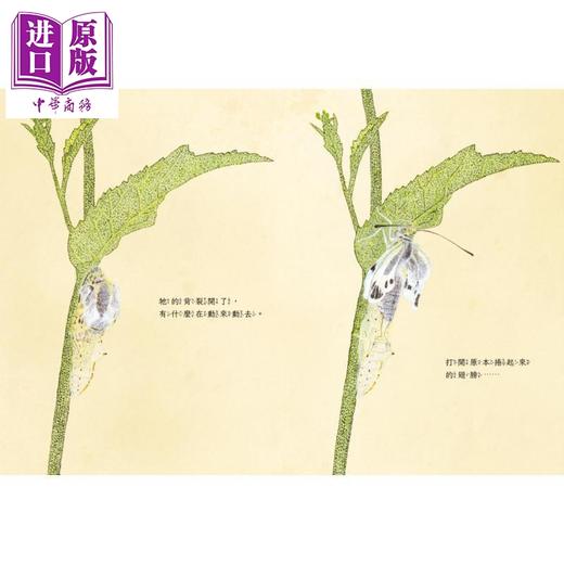 【中商原版】毛毛虫变身了 日本学校图书馆协会年度绘本50选书 首刷限量赠品 昆虫观察日志 全彩折叠海报 港台原版 儿童绘本 商品图3