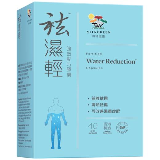 维特健灵Vita Green 祛湿轻40粒 商品图1