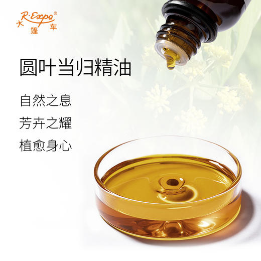 圆叶当归精油 法国单方精油原料批发芳疗香氛调香香薰 大篷车精油 商品图1