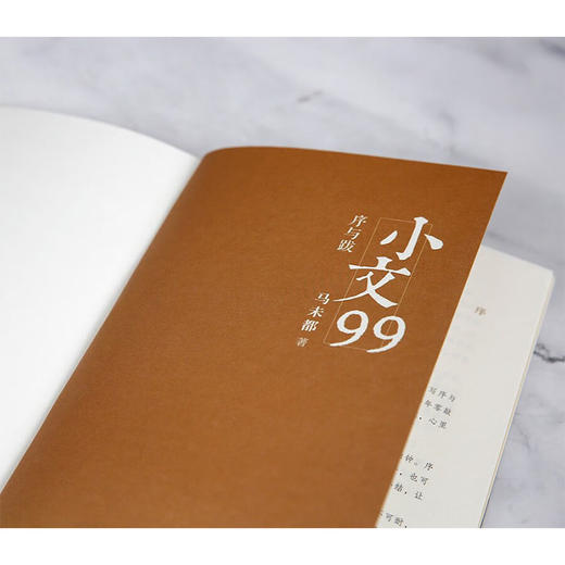 小文99 马未都 著 散文 商品图2