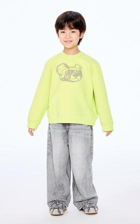 jnby  25年秋款  套头卫衣  1P8413220