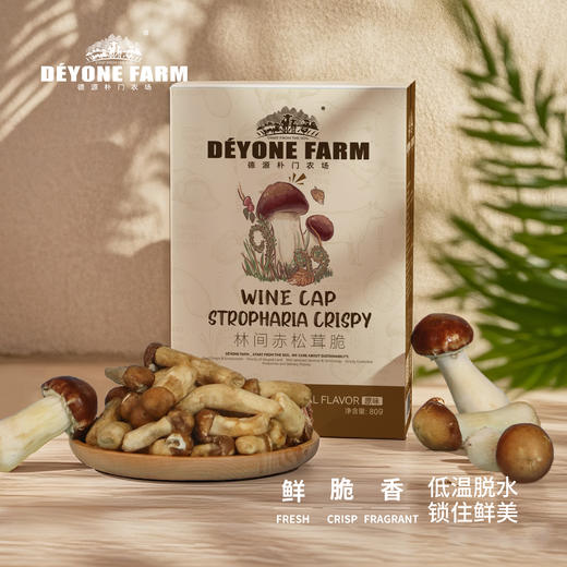林间赤松茸脆 营养丰富酥脆香甜爽口80g/盒 商品图0