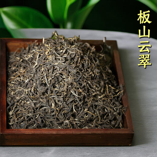 云南普洱茶叶批发2024年春茶板山云翠生茶500克袋装 商品图4