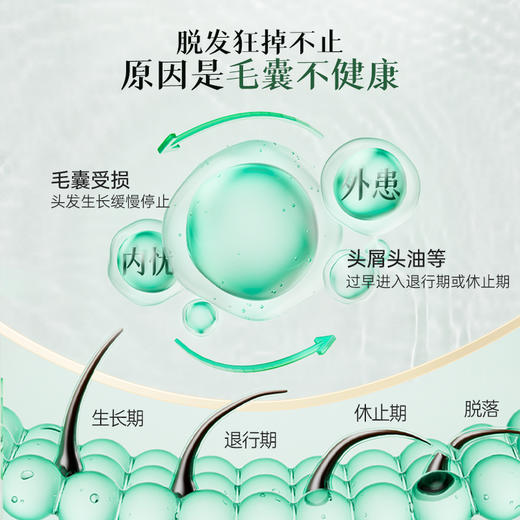 荷馨防脱育发洗发露150ml 商品图4