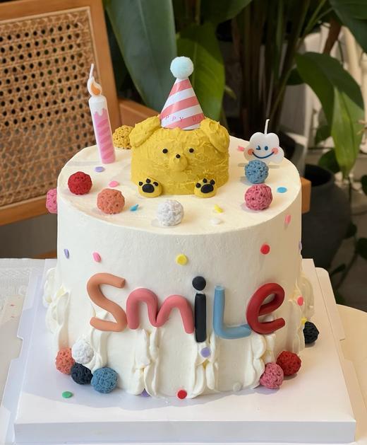 阳光小熊 商品图0