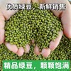 平价优选：滇缅老山老品种绿豆一级货，60年代老味道，清！细！甘！润！别处难以比拟！ 商品缩略图0