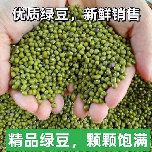 平价优选：滇缅老山老品种绿豆一级货，60年代老味道，清！细！甘！润！别处难以比拟！ 商品图0