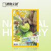 博物杂志 2025年8月刊  椰子 商品缩略图0