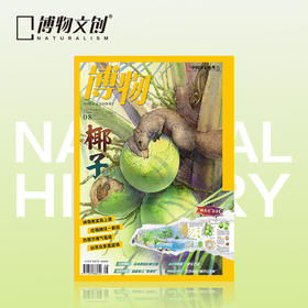 博物杂志 2025年8月刊  椰子