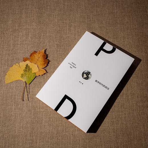 数字时代的政治 李石 著 政治 商品图3