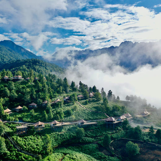 3天2晚【康藤·阿鲁腊卡帐篷营地】暑期专属！含入住期间三餐美食、营地下午茶、丛林徒步、丰富特色活动等，饱览雪山云海之美~ 商品图5