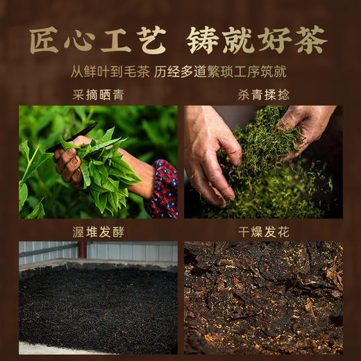 茶马世家安化黑茶官方旗舰店正品湖南茯茶手筑金花茯砖480g 商品图2