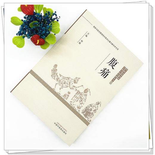 腹痛 刘毅 主编 中医优势病种古籍文献挖掘丛书 中国中医药出版社 商品图1